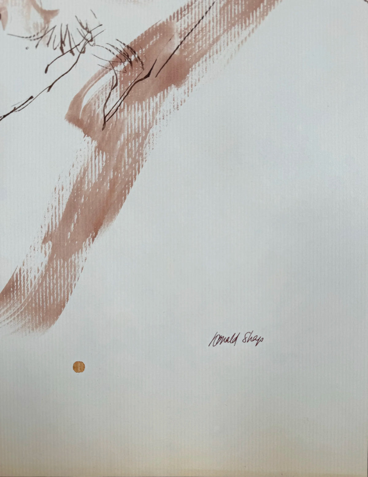Ronald Shap | untitled portrait drawing