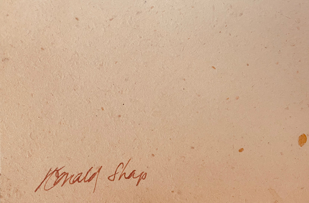 Ronald Shap | untitled figure drawing
