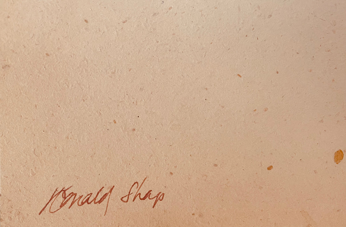 Ronald Shap | untitled figure drawing